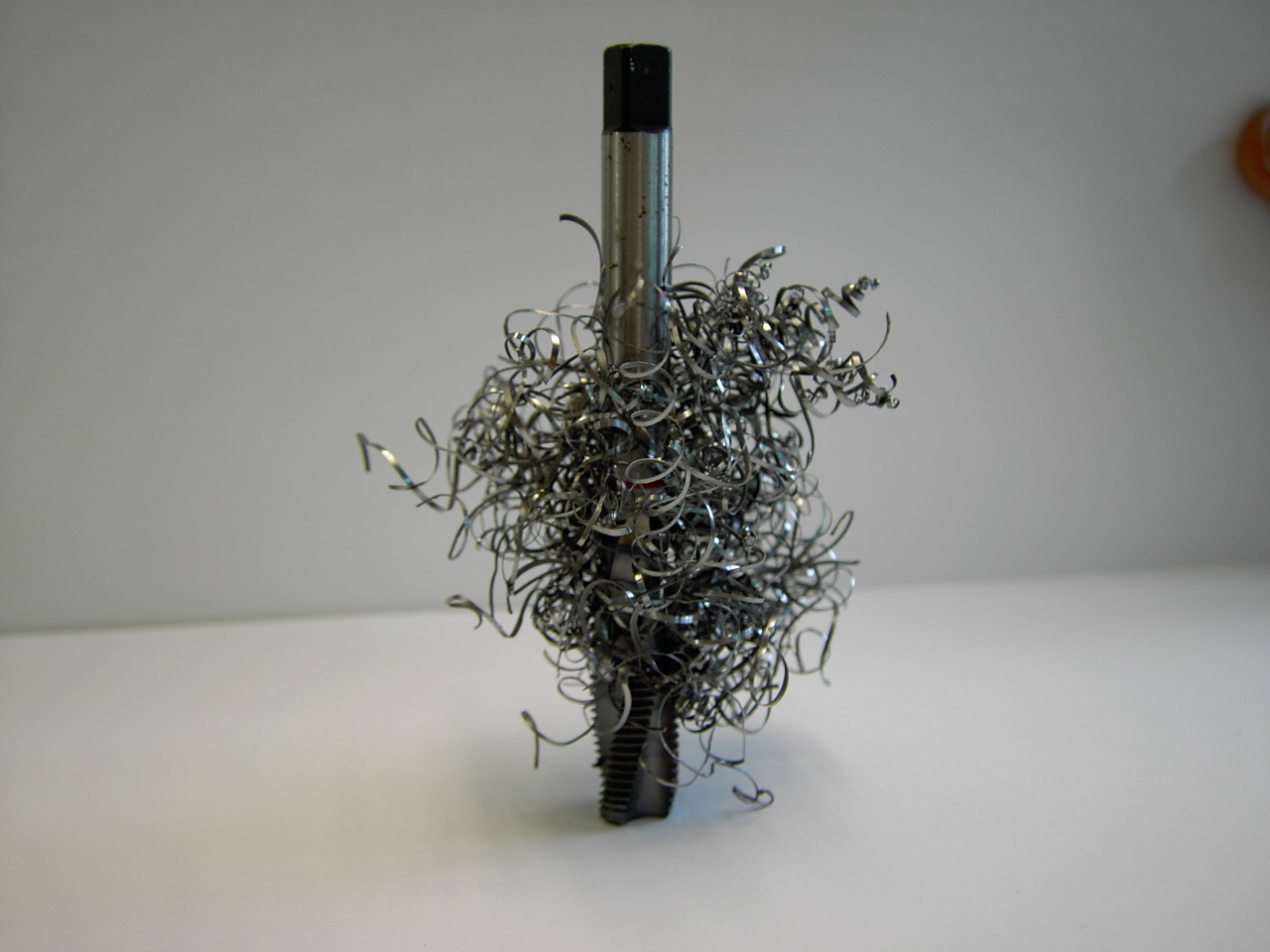 Maschio con truciolo aggrovigliato